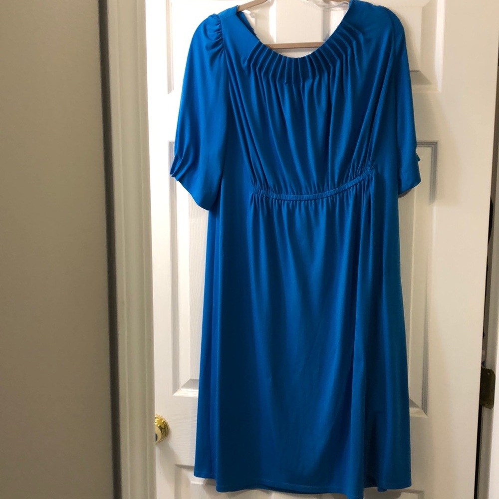 Gorgeous Suzy Chin dress